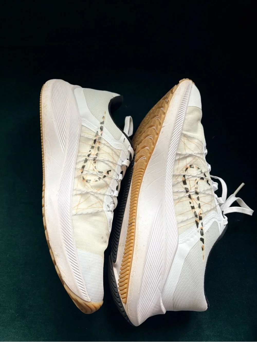 Nike Zoom Winflow Running Sneakers with Leopard Accent